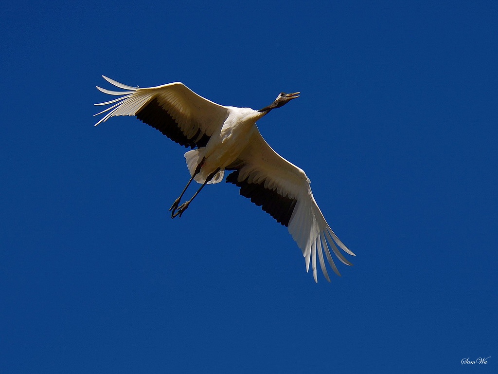 http://i.dcview.tw/gallery/201210/a7e3545b5f0a743777793c88767775d4.jpg