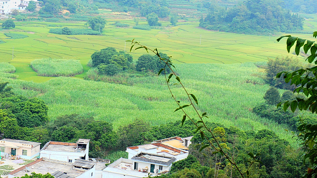 http://i.dcview.tw/gallery/201210/a8ae9a3355f16756822ef78071309a1a.jpg