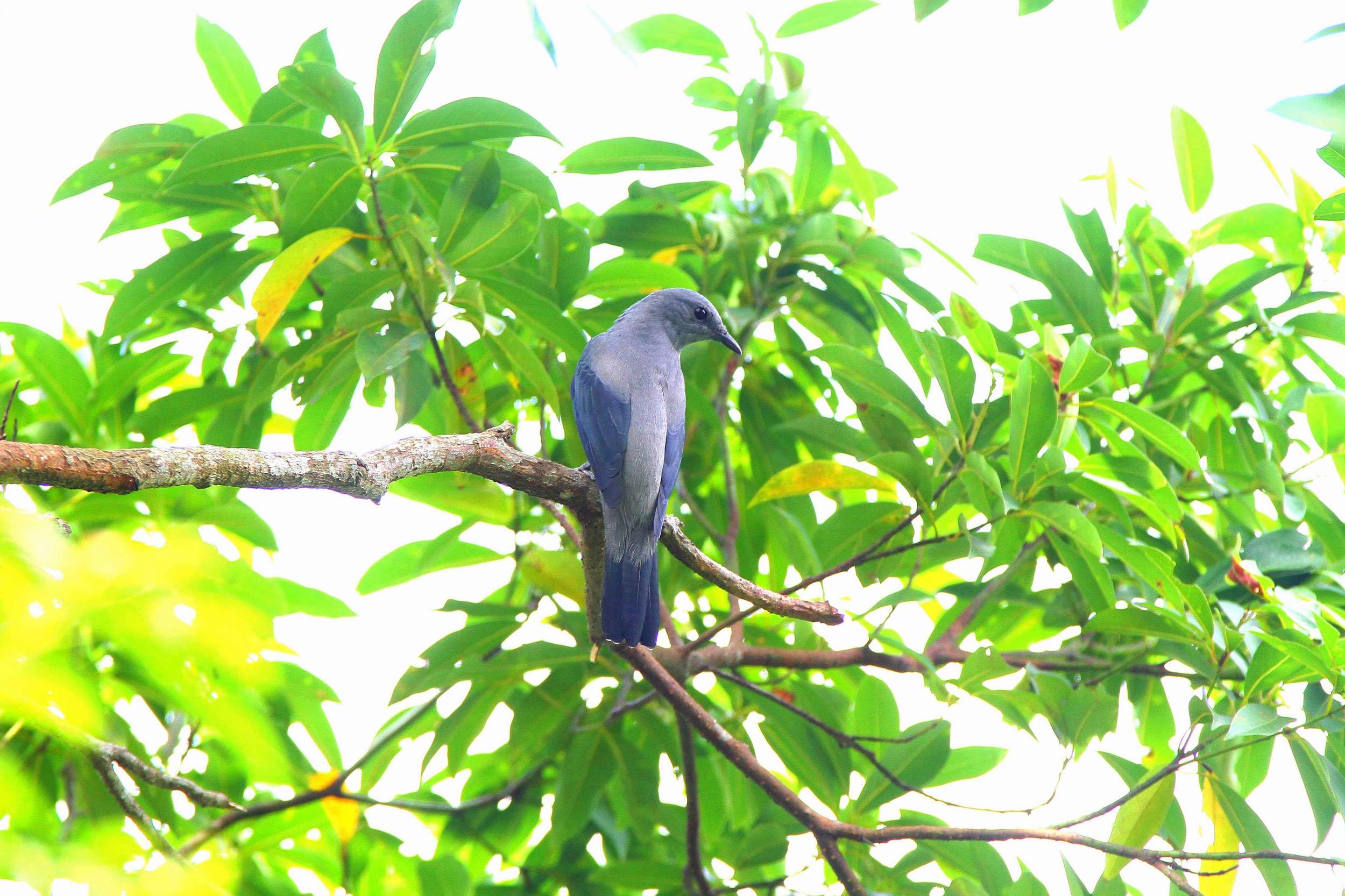 http://i.dcview.tw/gallery/201210/ac502148e7d1b48e1ea80445feb7a23e.jpg