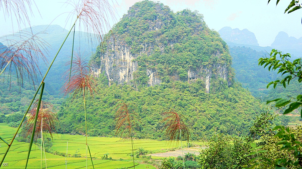 http://i.dcview.tw/gallery/201210/af3c6617071efb1aacc06c6eb49dff93.jpg