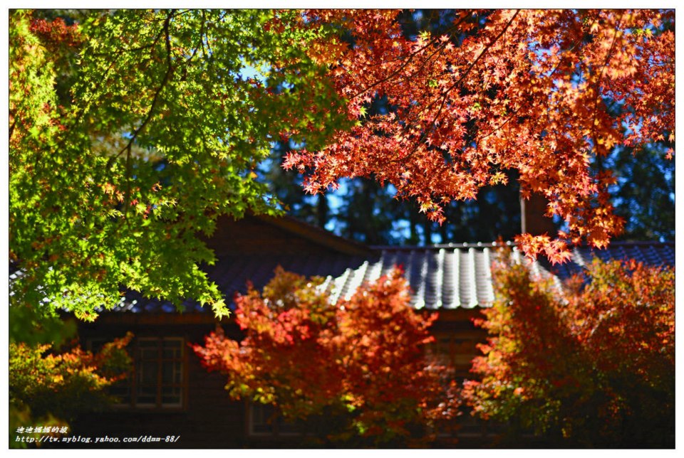 http://i.dcview.tw/gallery/201210/b5bf88d2a7f87f4d51a42fa385cb66ca.jpg