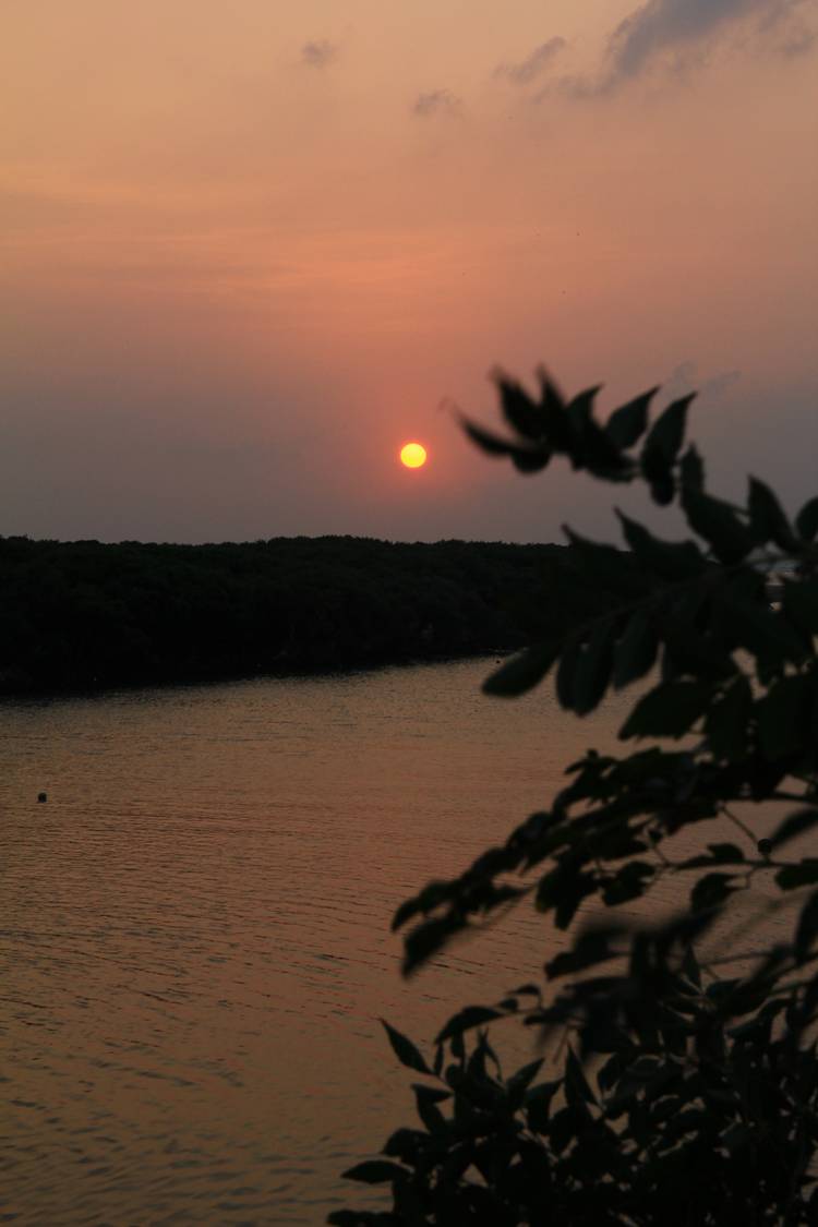 http://i.dcview.tw/gallery/201210/b9a1f714e2e65e7ceec95f94e3ef6016.jpg