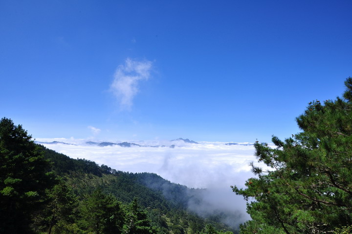 http://i.dcview.tw/gallery/201210/ba9001f2bb3f3d05af38f518af68e6e4.jpg