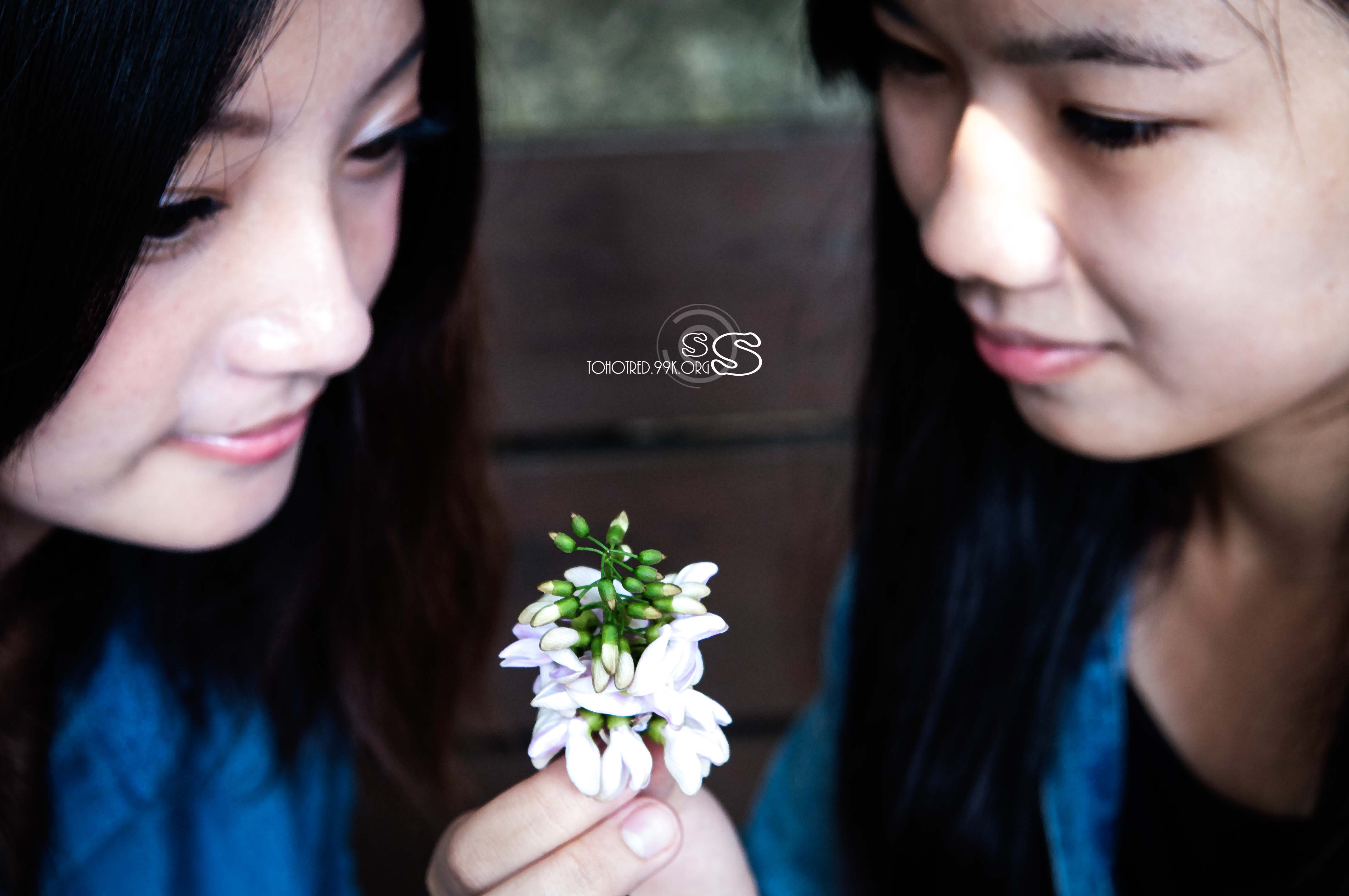 http://i.dcview.tw/gallery/201210/bd242752c7093109cd5b234a1fb44741.jpg