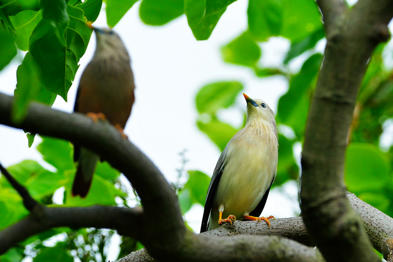 http://i.dcview.tw/gallery/201210/c25c44831831fc70cadfc986c5bbf3e7.jpg