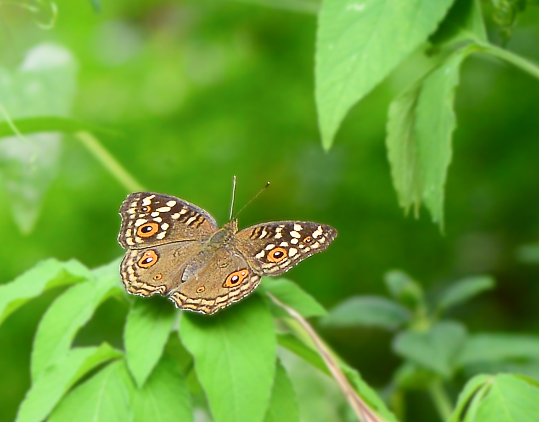 http://i.dcview.tw/gallery/201210/c54b15b3467e893f6fa06cc45703e61b.jpg