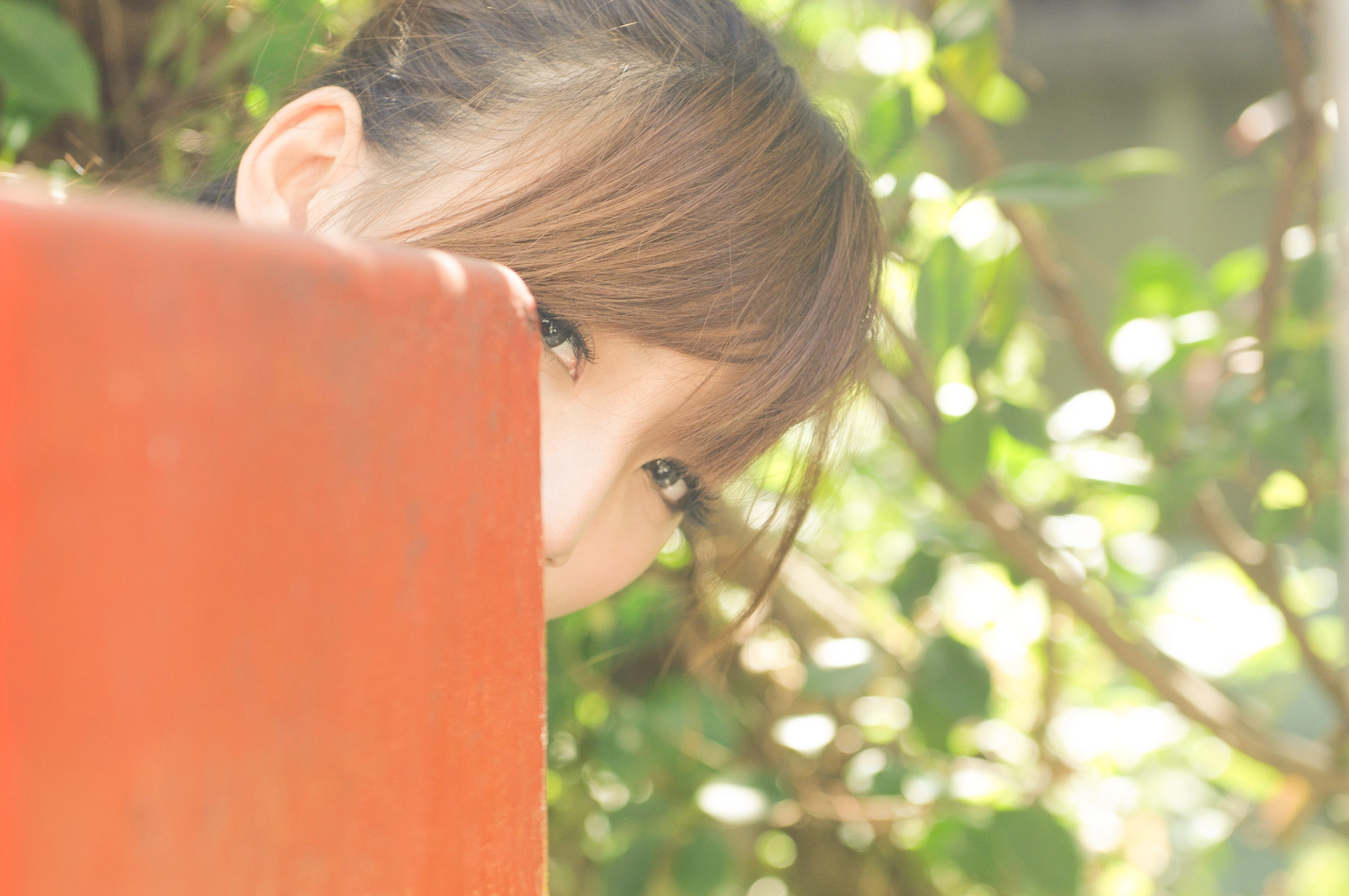 http://i.dcview.tw/gallery/201210/cc624b3101bb9cdbccd687b91988581c.jpg