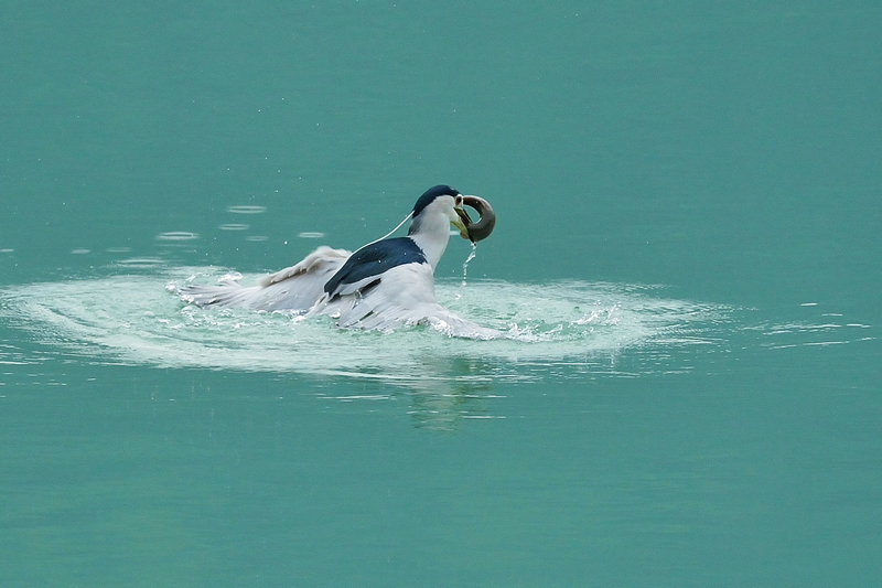 http://i.dcview.tw/gallery/201210/cf576325fdad209a5134e37b91c5e797.jpg