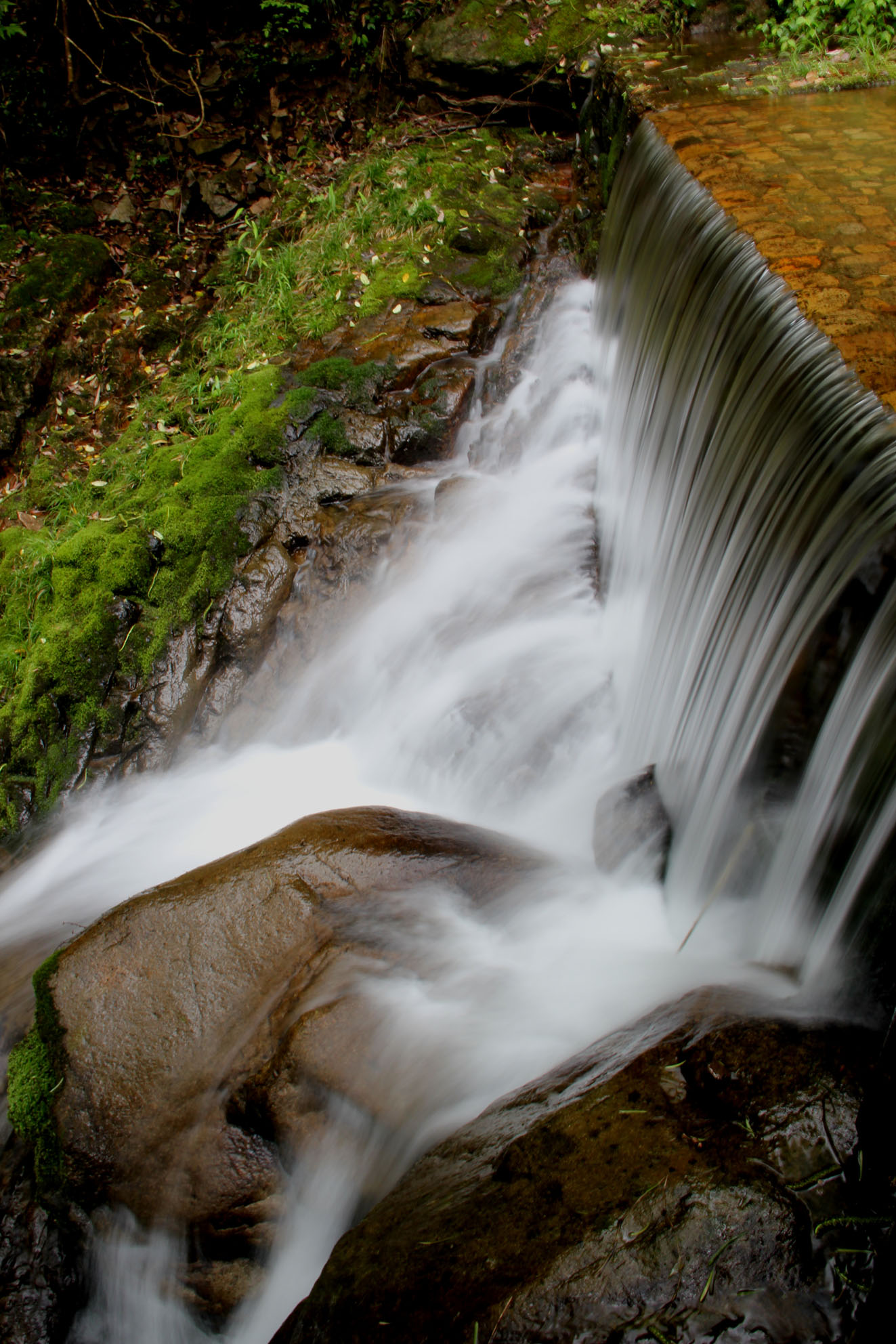 http://i.dcview.tw/gallery/201210/d1e78748ee28ba5cacf933276ce034c1.jpg