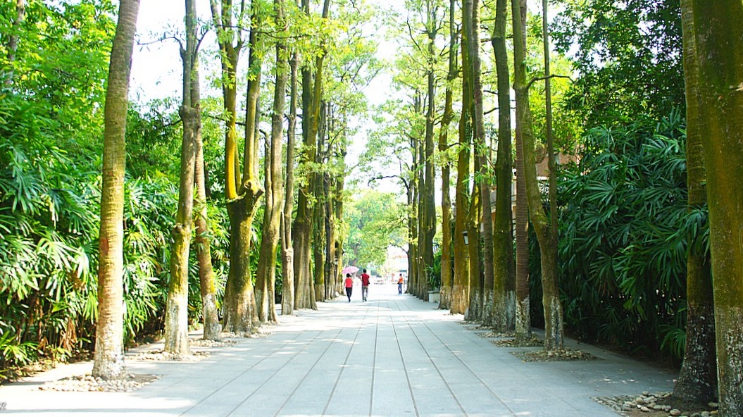 http://i.dcview.tw/gallery/201210/dd455ba3b77196a57d54f67c28130217.jpg