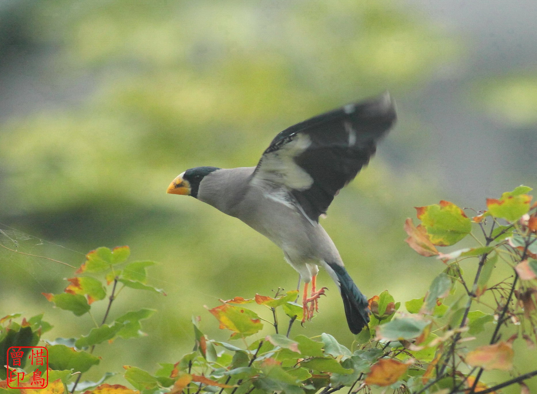 http://i.dcview.tw/gallery/201210/e1f2bf66a5a793c5b2eb9e0aed910541.jpg