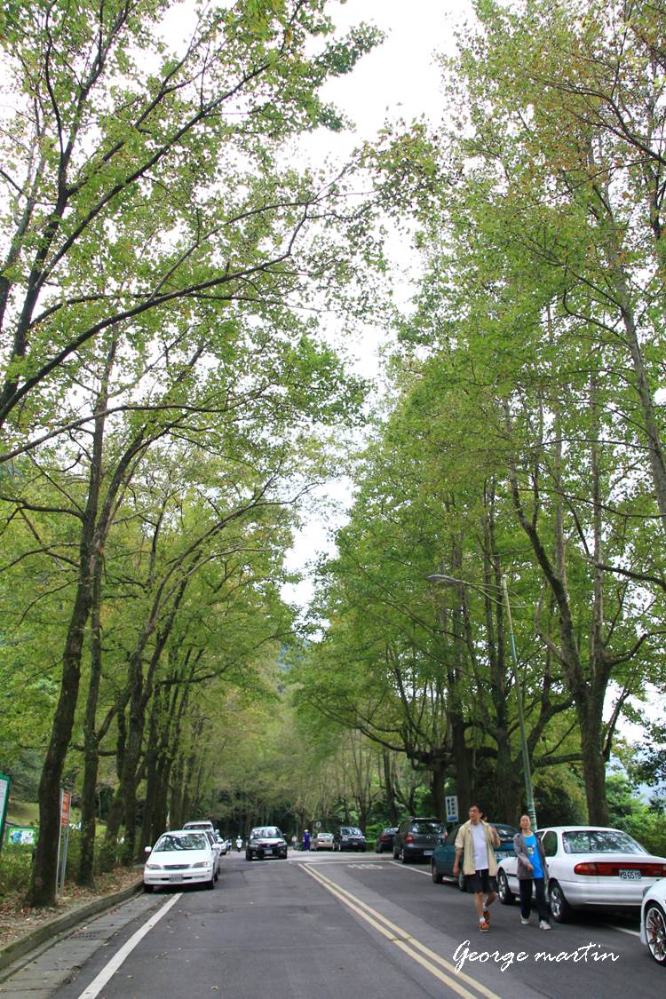 http://i.dcview.tw/gallery/201210/e21c0c569797182d2d53b6317b5ff90b.jpg