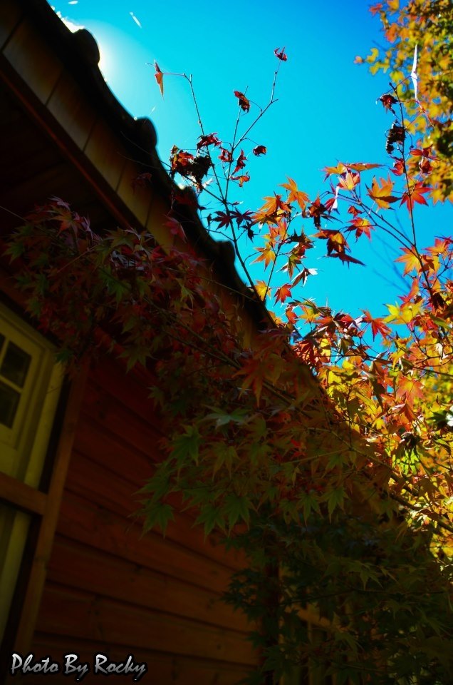 http://i.dcview.tw/gallery/201210/e237f246e31bed079e9cbcf825e40157.jpg