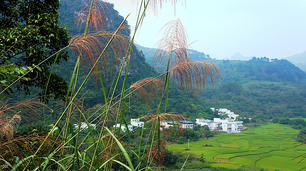 http://i.dcview.tw/gallery/201210/e71150c59bad62a509c5c40a2294d5cc.jpg