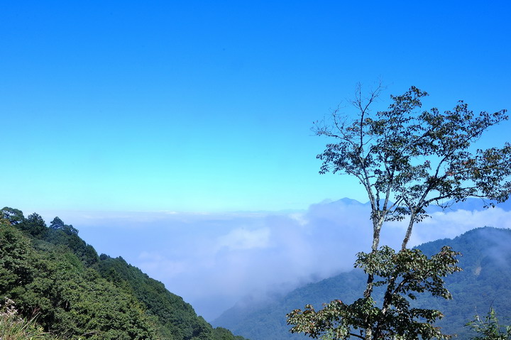 http://i.dcview.tw/gallery/201210/e771273028519b6d7f62fe1911f8b453.jpg