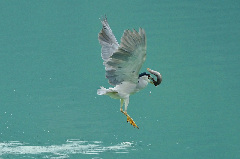 http://i.dcview.tw/gallery/201210/ea1727b56d2beaea19bcdbf771206e6a.jpg