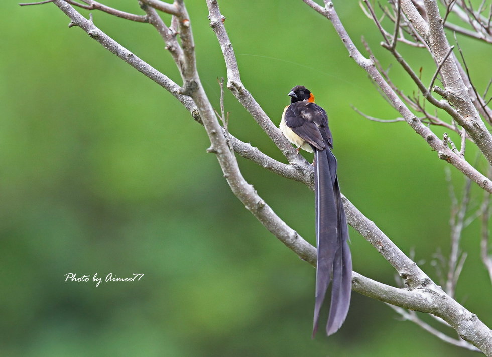 http://i.dcview.tw/gallery/201210/ec474b9b790cab6c45fca513cd432c6a.jpg