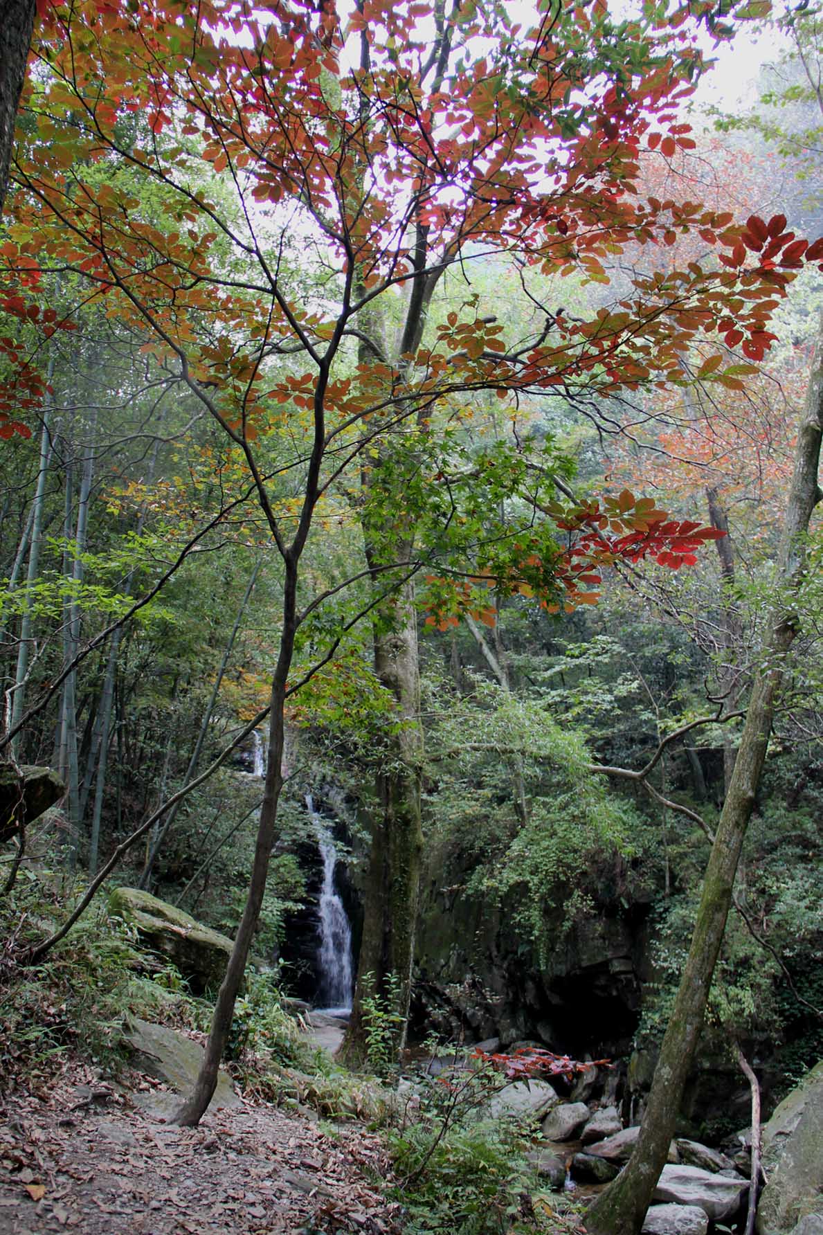 http://i.dcview.tw/gallery/201210/f6d4b73b7ecc20633a3868587f70522e.jpg