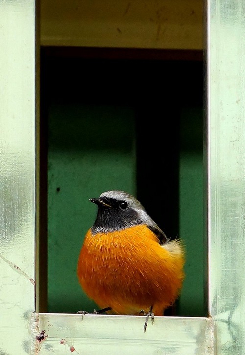 http://i.dcview.tw/gallery/201211/0397271eed0f9da27e5c7f585728736f.jpg