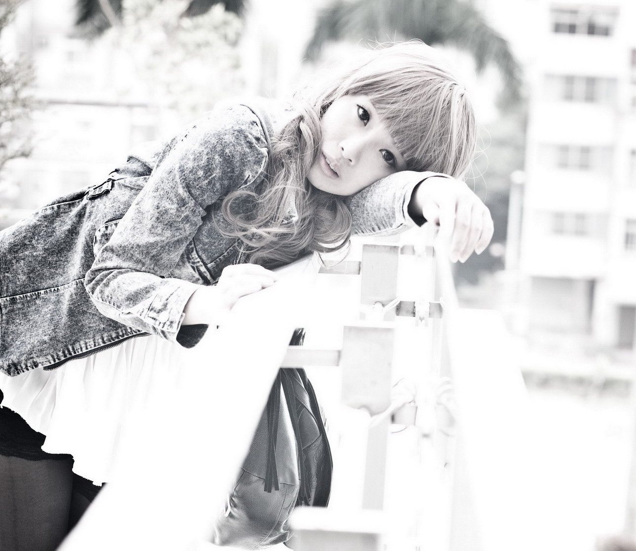 http://i.dcview.tw/gallery/201211/0407e4972037d31038760464ae6a76f2.jpg