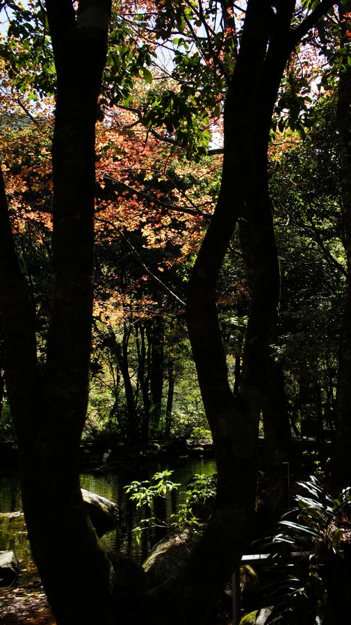http://i.dcview.tw/gallery/201211/07474d333d67684ada1f061f74c9a9e2.jpg
