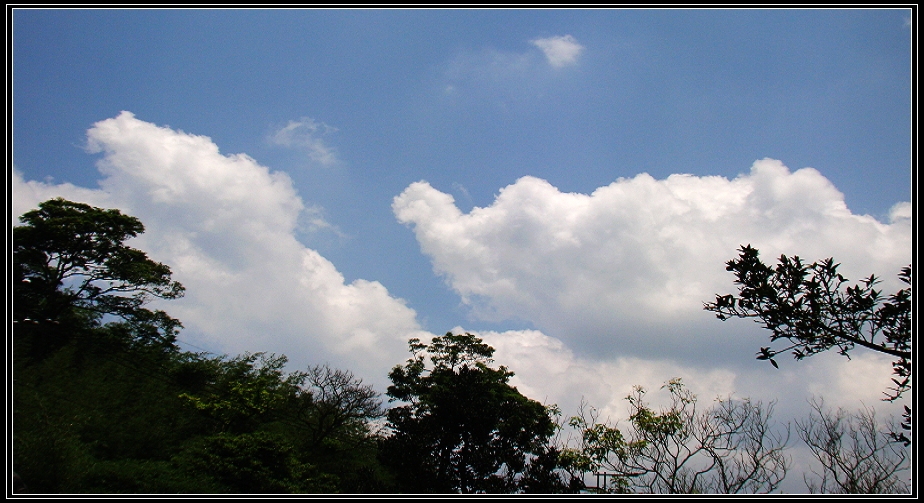 http://i.dcview.tw/gallery/201211/09d62a23575d18a5d9a7621a578ffeb6.jpg