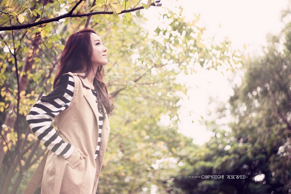 http://i.dcview.tw/gallery/201211/1017254b034267b8749c1476e1bf8060.jpg