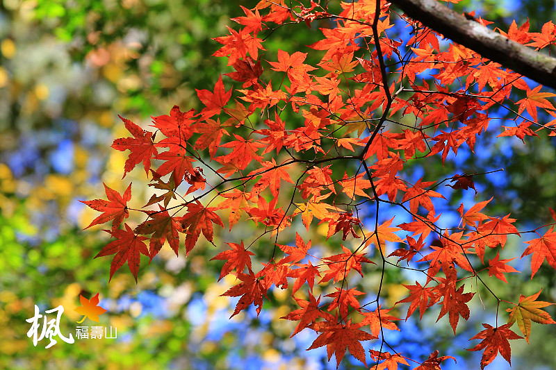http://i.dcview.tw/gallery/201211/29ed73e33dd4907823c75bb0c0a10cfd.jpg