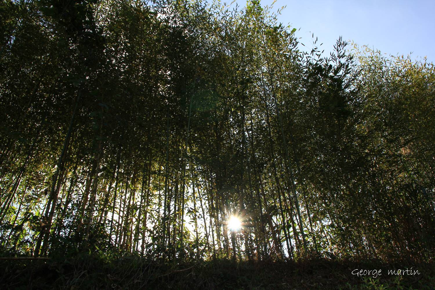 http://i.dcview.tw/gallery/201211/2df23dcbe146a827e0c8fe2f315d7fdf.jpg
