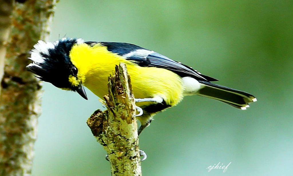http://i.dcview.tw/gallery/201211/32c989a476344b9d31e95ce0041e34a6.jpg
