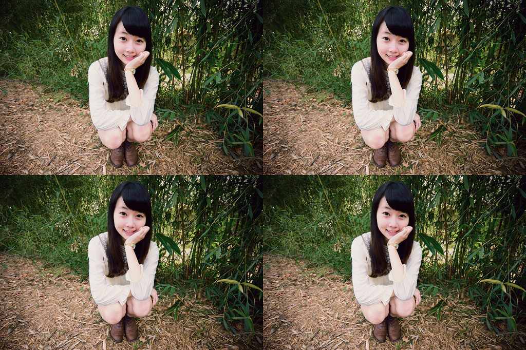 http://i.dcview.tw/gallery/201211/3ca78a29b8412d88c8fd3f8c6c348629.jpg