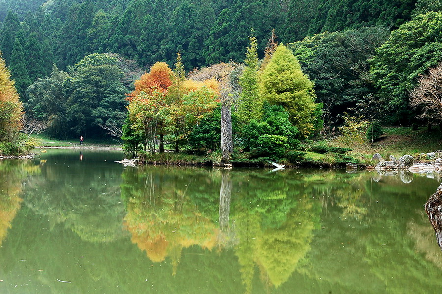 http://i.dcview.tw/gallery/201211/4428f45e2fbc68f7633695dfe661ff9c.jpg