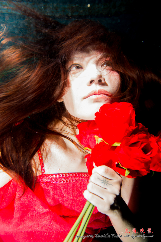 http://i.dcview.tw/gallery/201211/4dc5e8a5216902cd5872af829c9fff4a.jpg