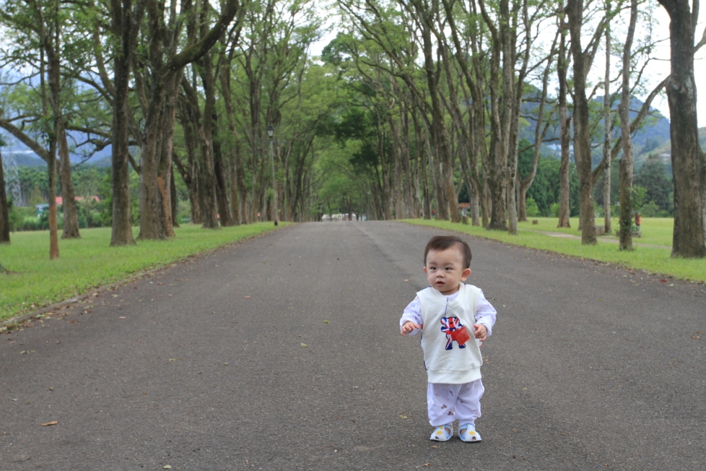 http://i.dcview.tw/gallery/201211/56ca4c74968419d912e6b2c511465b6a.jpg