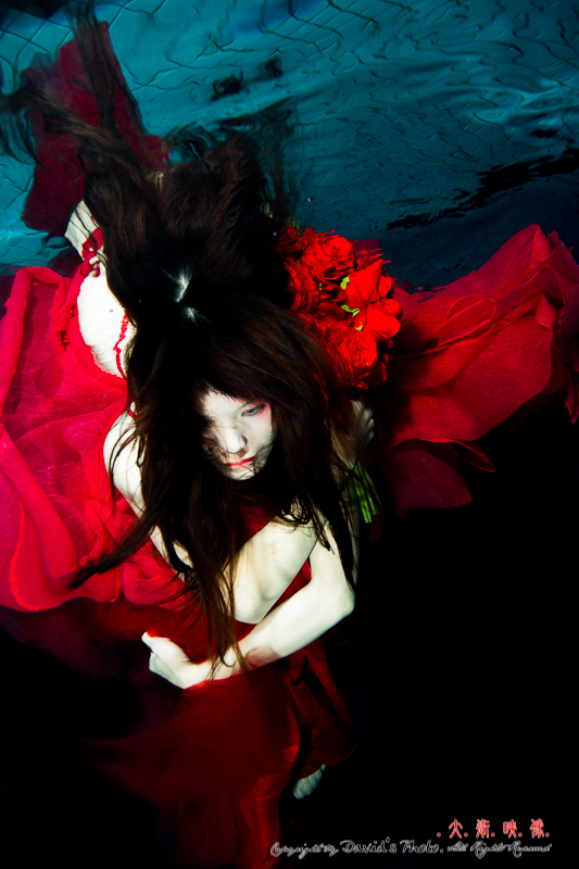 http://i.dcview.tw/gallery/201211/651f12cc03b19544495a87a79c9e3ff5.jpg