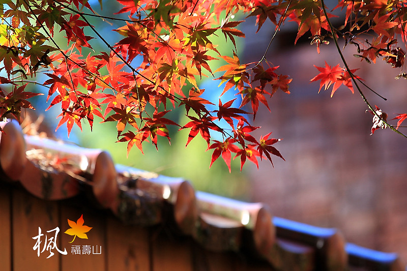 http://i.dcview.tw/gallery/201211/6b16d38d2782a44b1efbb37d612eae02.jpg