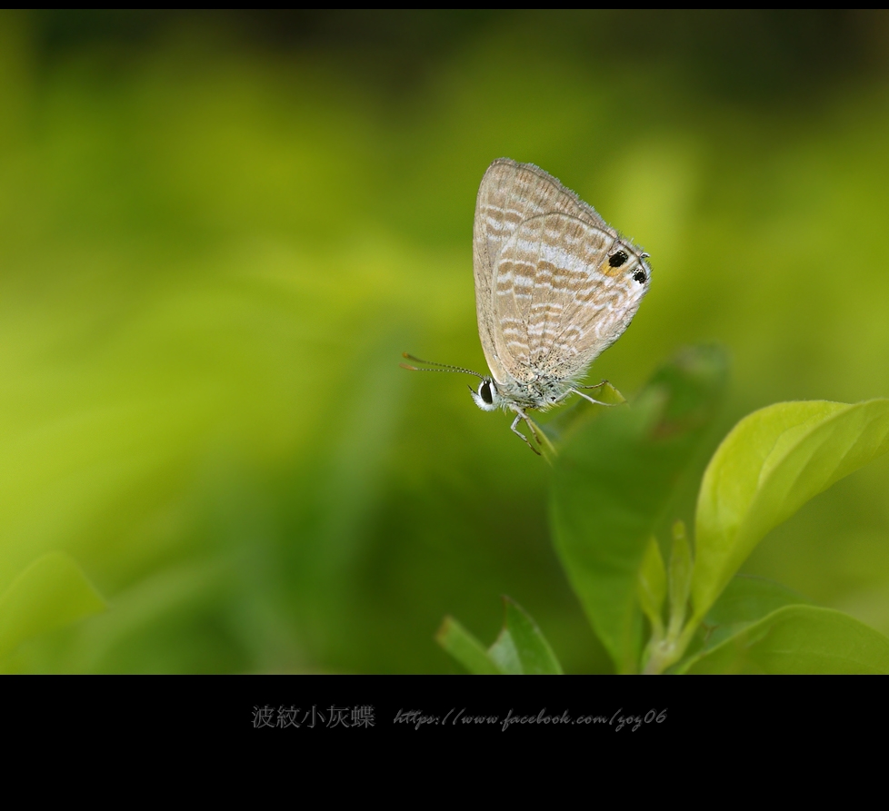 http://i.dcview.tw/gallery/201211/707cdd23c654b706d755cf475976afdc.jpg