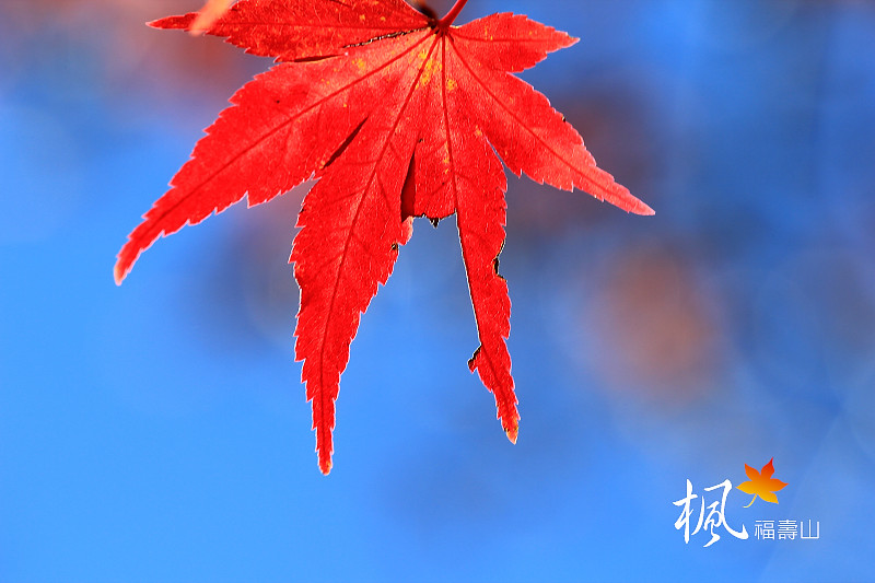 http://i.dcview.tw/gallery/201211/714ec2ba169225ebaafefa361f2bc680.jpg