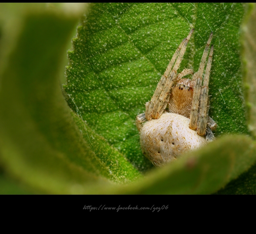 http://i.dcview.tw/gallery/201211/7300753d5447562d7e44c49b40dd090c.jpg