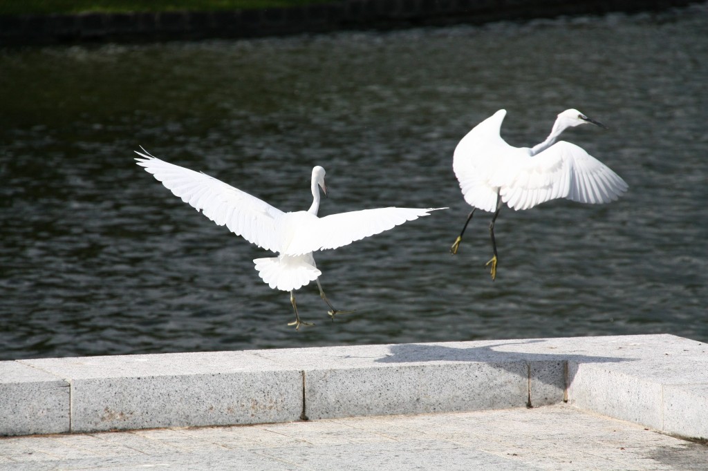 http://i.dcview.tw/gallery/201211/77dae781b3a444f4473f9857af5c155f.jpg