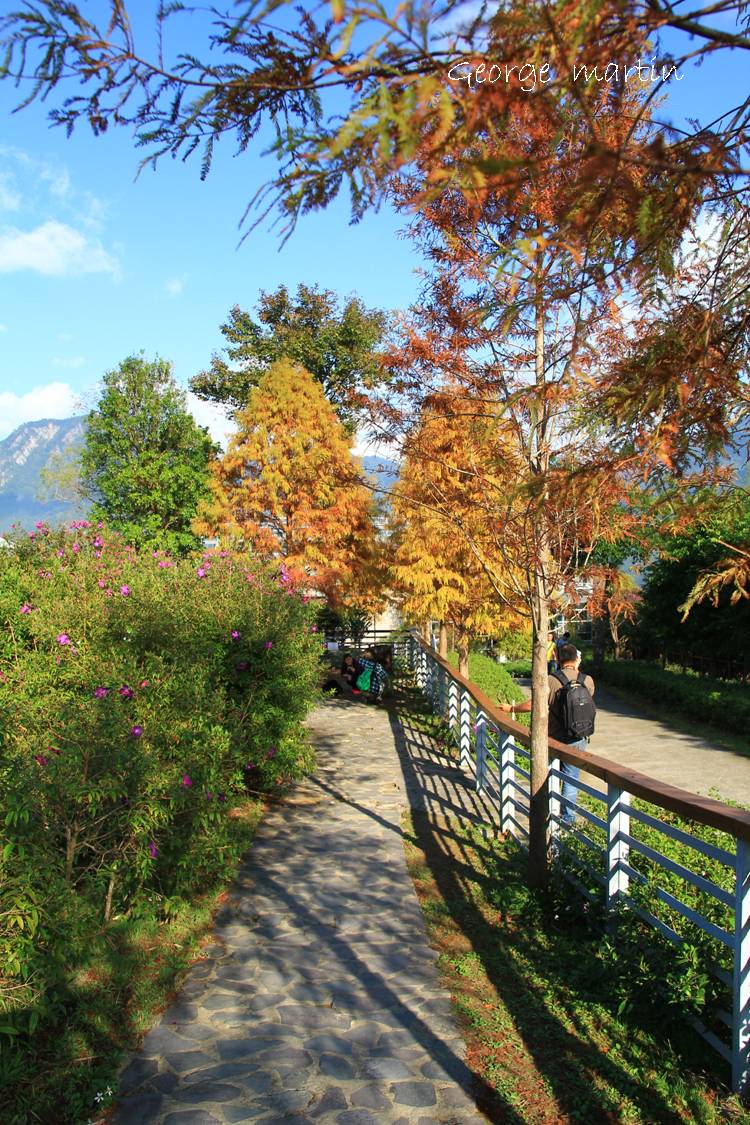 http://i.dcview.tw/gallery/201211/7a73fbd5e7a64e75414945099d6fa44a.jpg