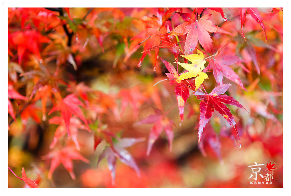 http://i.dcview.tw/gallery/201211/7d91b4477ad1ef7e52ce2f66f4b137f0.jpg
