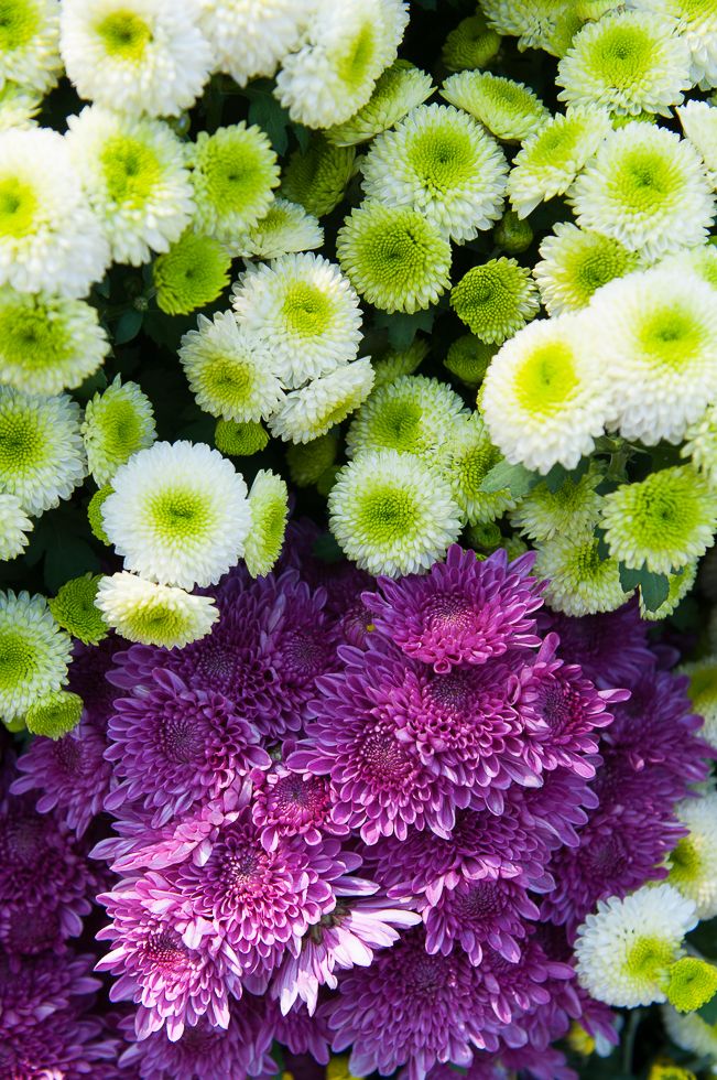 http://i.dcview.tw/gallery/201211/8242c5ca1baf1e11a8eb8edac0e22188.jpg