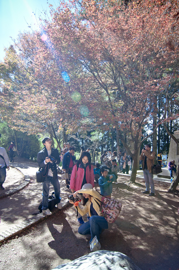 http://i.dcview.tw/gallery/201211/8450edda653b86aedabbef9e4d07b328.jpg