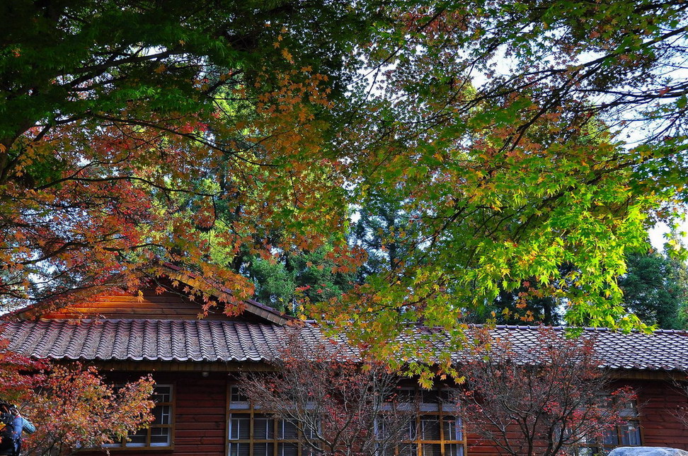 http://i.dcview.tw/gallery/201211/8597a5a4c479f98e2e4d59c9660a945e.jpg