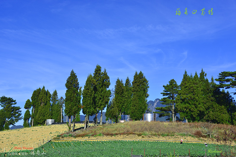 http://i.dcview.tw/gallery/201211/925160a3dcfdd99d3f286f7c02627fb5.jpg