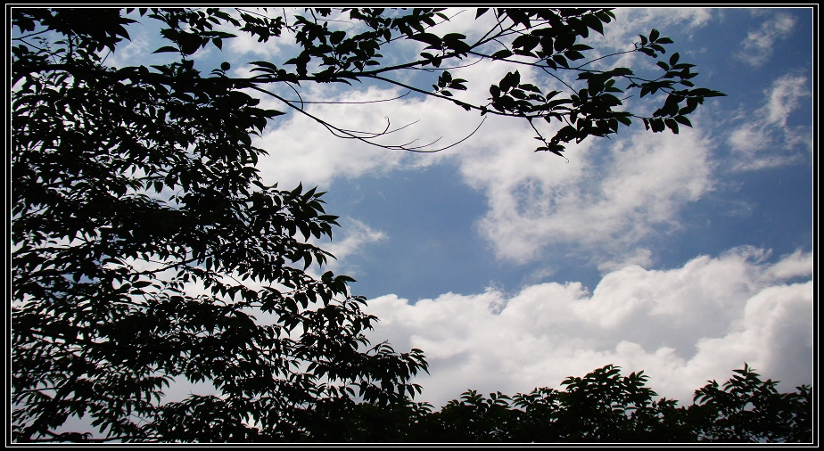 http://i.dcview.tw/gallery/201211/962f3a950903f06407cf01d4412ff67b.jpg