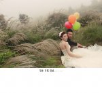 白紗.幸福.花嫁