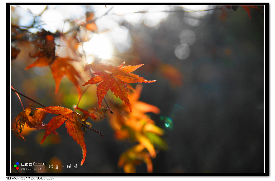 http://i.dcview.tw/gallery/201211/ae38793d1b232e88174a54dd254ea5e2.jpg