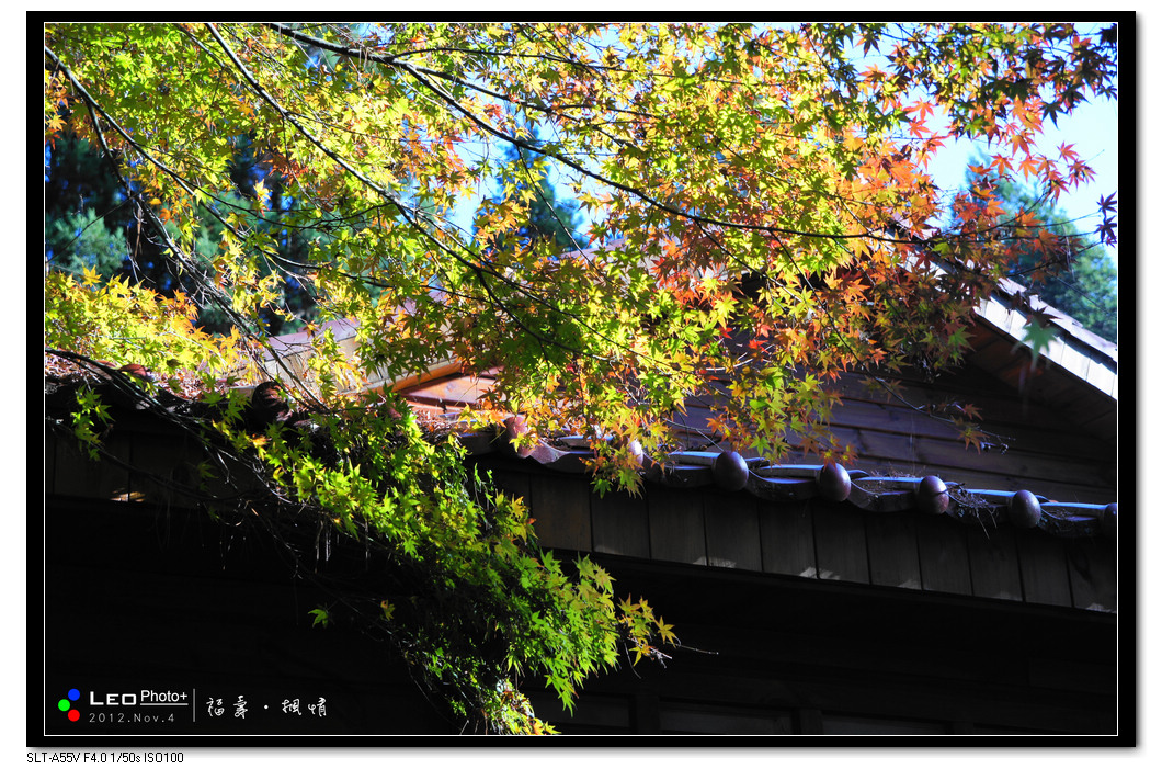 http://i.dcview.tw/gallery/201211/afac44748ef5cb42e9436814a6f4e2ae.jpg